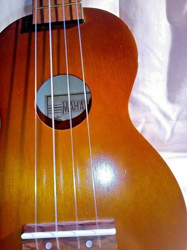 Ukulele mahalo hier ist - -,