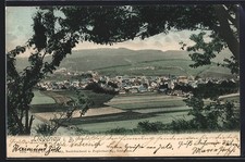 Liebenau i. B., Panorama