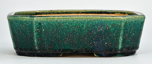 Bonsaischale koyo tokoname - bonsaischale,