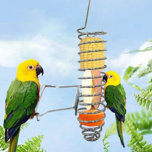 Vogel papagei feeder - vogel,