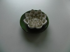 Dekorations Schale grün mit wunderschöner weißer Blüte Seeblume Teich Blatt Deco