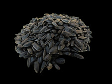 Sonnenblumenkerne schwarz