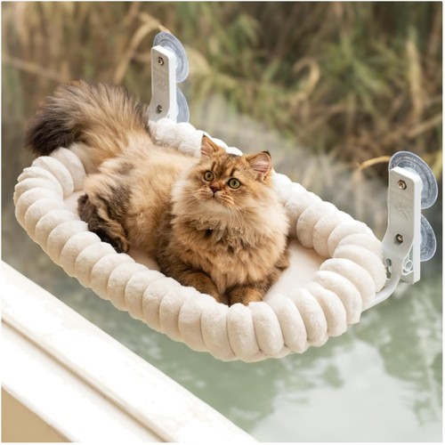 Katzen fensterliege - katzen,
