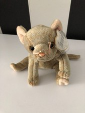 NI - Ty Beanie Baby: Scat die