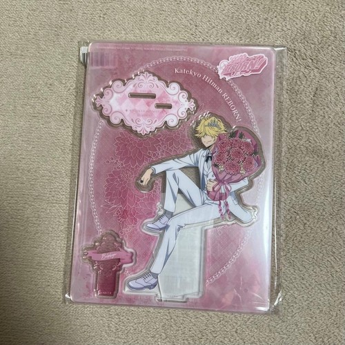 Katekyo hitman reborn - hitman, acryl