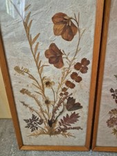 Bild Trockenblumen 50er Jahren mit Trockenblumen von E&L (ERLO RAHMEN)