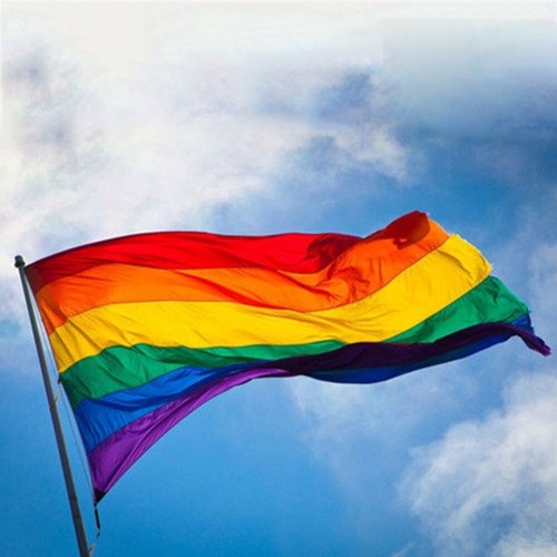 Regenbogen fahne 90x55 2 - 90x55,