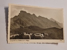 Postkarte - Bergschafe am