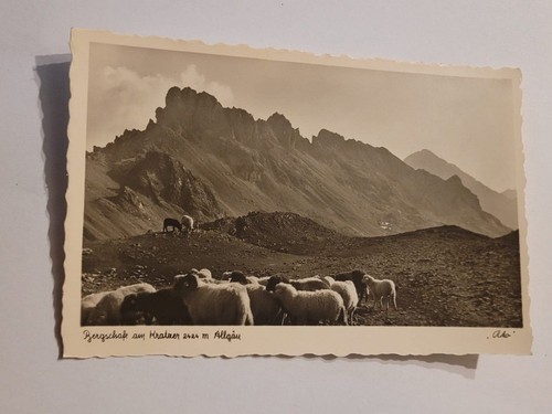Postkarte bergschafe am - postkarte,