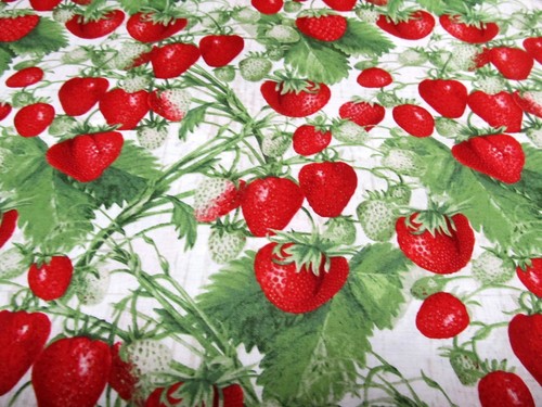 Erdbeere erdbeeren strawberry - erdbeere,