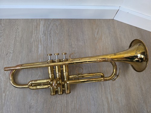 Trompete amati kraslice - trompete, amati-kraslice