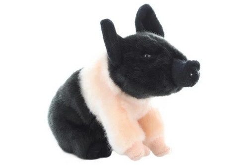 Plüschschwein cm - plüschschwein,