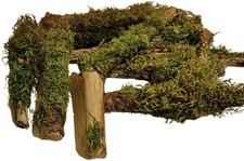 7er Tropic Äste Set