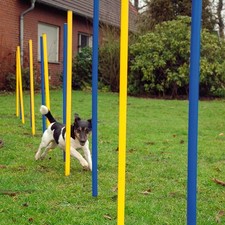 Agility Slalom Set 12 teilig