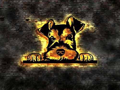 Schnauzer hund riesenschnauzer - hund,