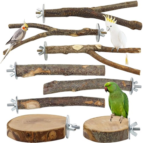 Stück vogel sitzstangen aus - 8,
