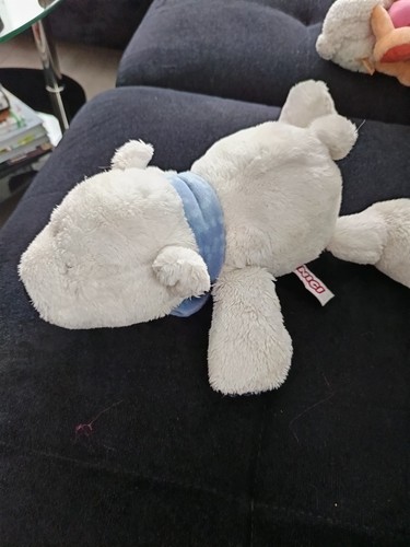 Nici eisbär - nici,