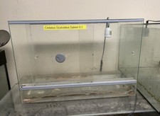 Terrarium 60x30x40 Terra Glas Glasterrarium