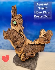 👩‍🎨 Aqua Art Wurzel