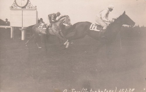 Foto pferderennen jockey - foto,