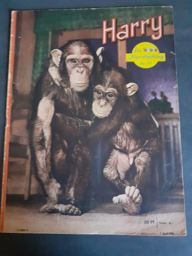 Harry die bunte jugendzeitung - bunte,