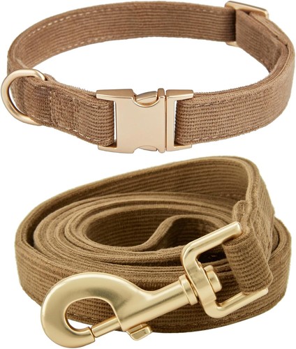 Hundehalsband und leine - hundehalsband,
