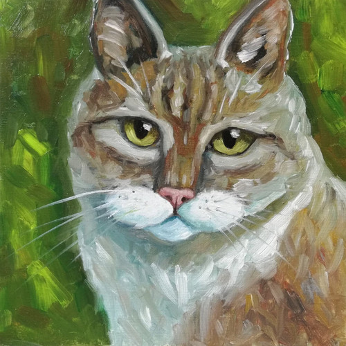 Katze öl gemälde - katze,