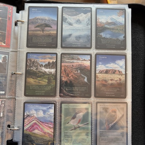 Life tcg continents plus - continents,