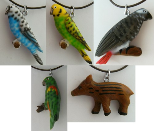 Kette wellensittich frischling - wellensittich,