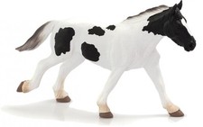 Mojo 387219 Tinker Jährling