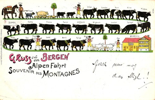 Schweiz farb litho gruss aus - "gruss,