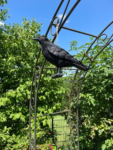 Rabe dohle deko vogel schreck - rabe,