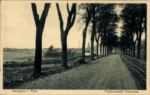 Węgorzyn wangerin pommern - wangerin,