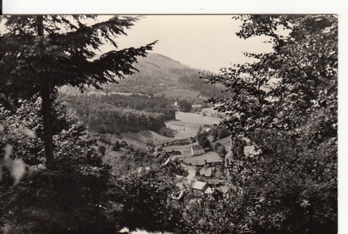 21294 goldlauter - ak,