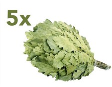 Eichenreisig 5 x 50-60 cm