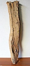 Treibholz Schwemmholz, 1