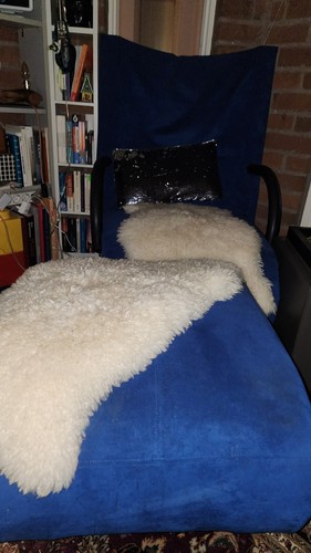 Ligne roset zen - sessel,