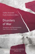 Disasters of War: Perceptions