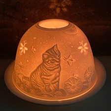 Dome Light Kuppellicht aus