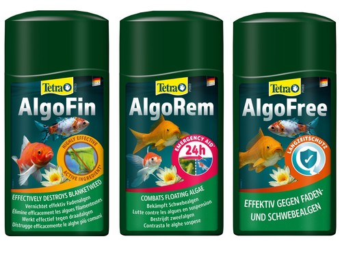Algo rem free fin - free,