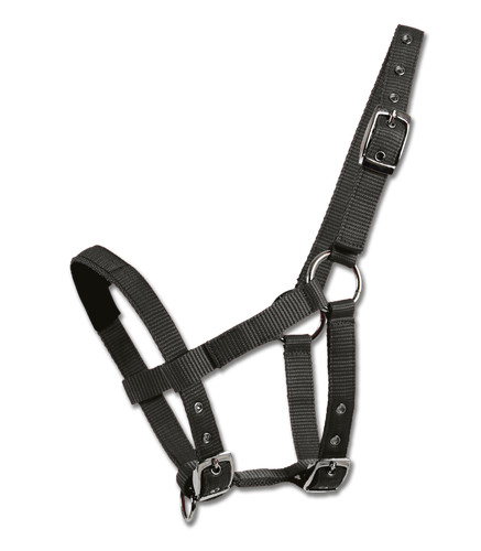 Waldhausen mini shetty - waldhausen, halfter