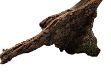 Terrarium Wurzel Holz mit