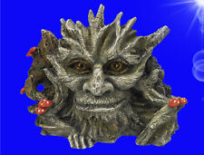 Aquarium Deko 🐟 GESICHT