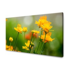 CANVAS Leinwandbilder XXL Wandbilder Kunstdruck Gelbe Blüten 40x30 bis 120x80