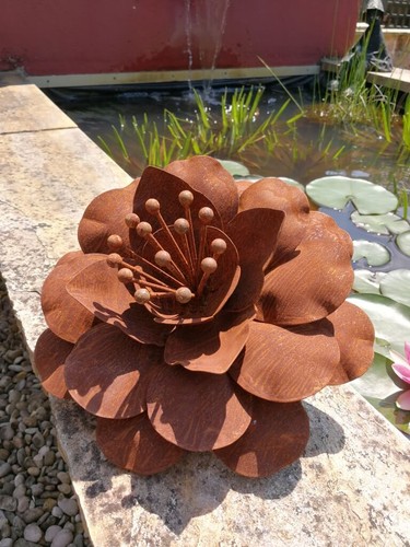 Edelrost blume sonja - blume,