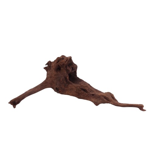 Driftwood flußwurzel - l,