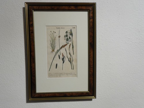 Orig kupferstich - orig.(1833,rebau),