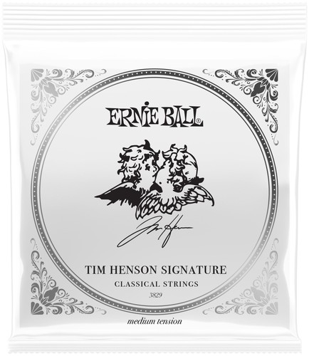 Ernie ball eb3829 tim - ball,
