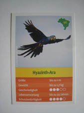 Entdecke Brasilien -