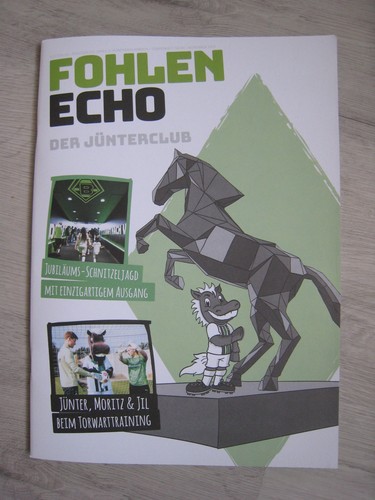 Magazin fohlen echo der - fohlen,